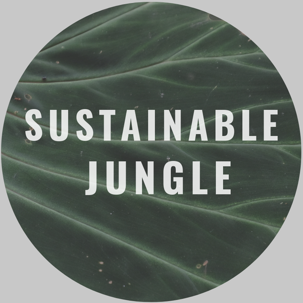 Sustainable Jungle's Zero Waste Makeup Options for Going Green